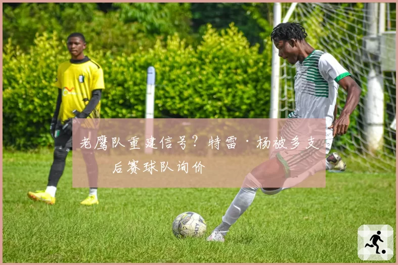 老鹰队重建信号?特雷·杨被多支季后赛球队询价